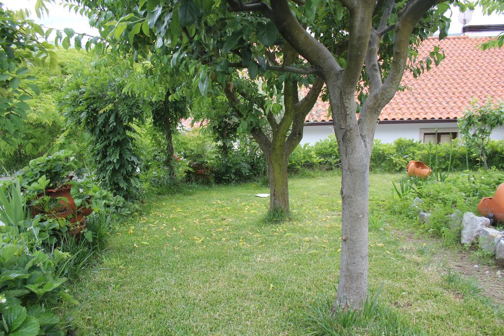 Casa De Tapadeiro Villa Resende Exteriör bild